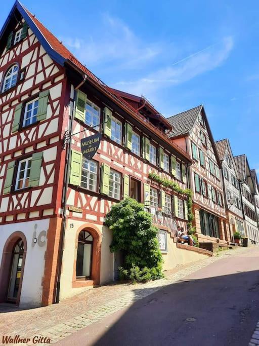 Ferienwohnung Schwarzwaldblick Bad Rippoldsau-Schapbach Exterior foto