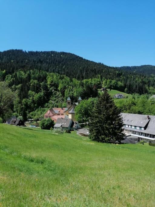 Ferienwohnung Schwarzwaldblick Bad Rippoldsau-Schapbach Exterior foto