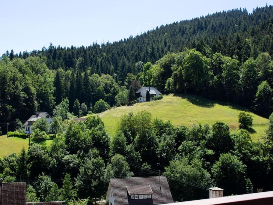 Ferienwohnung Schwarzwaldblick Bad Rippoldsau-Schapbach Exterior foto
