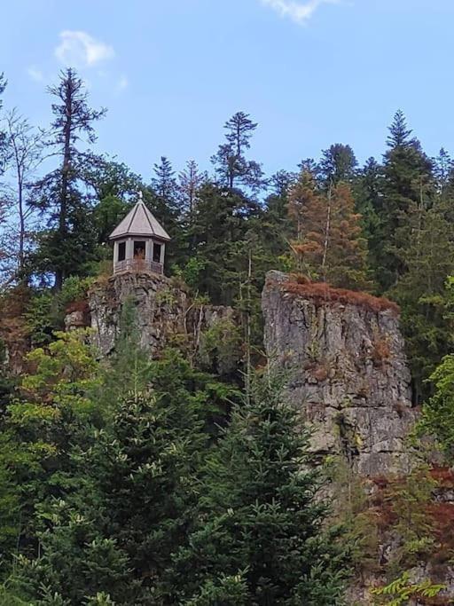 Ferienwohnung Schwarzwaldblick Bad Rippoldsau-Schapbach Exterior foto