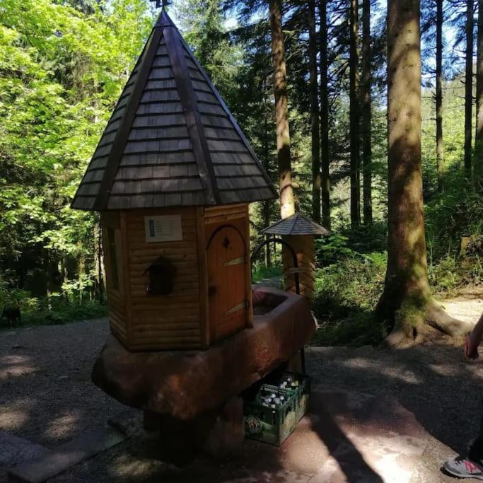 Ferienwohnung Schwarzwaldblick Bad Rippoldsau-Schapbach Exterior foto