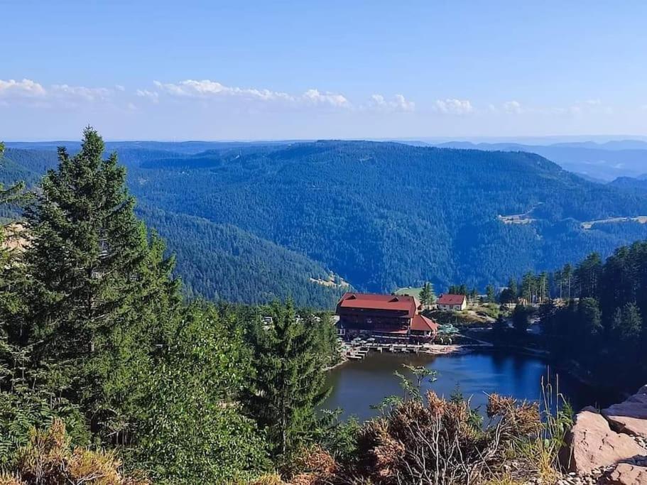 Ferienwohnung Schwarzwaldblick Bad Rippoldsau-Schapbach Exterior foto