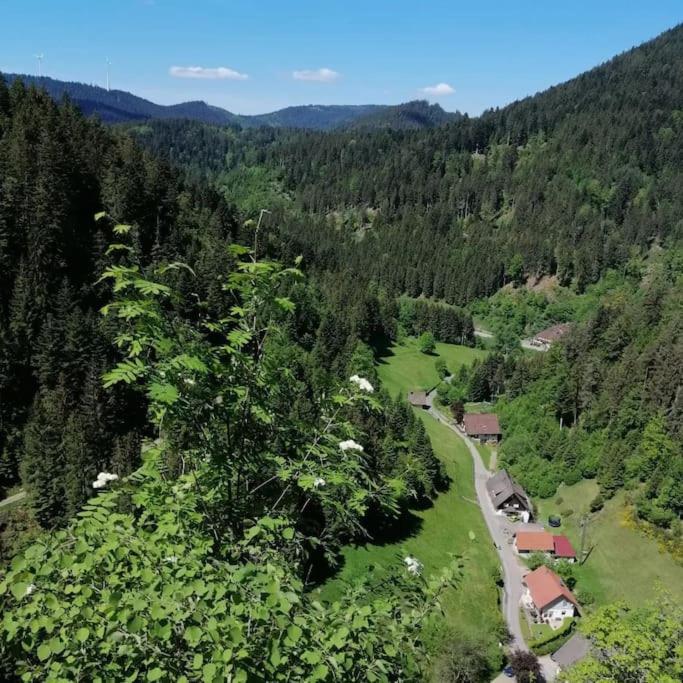 Ferienwohnung Schwarzwaldblick Bad Rippoldsau-Schapbach Exterior foto