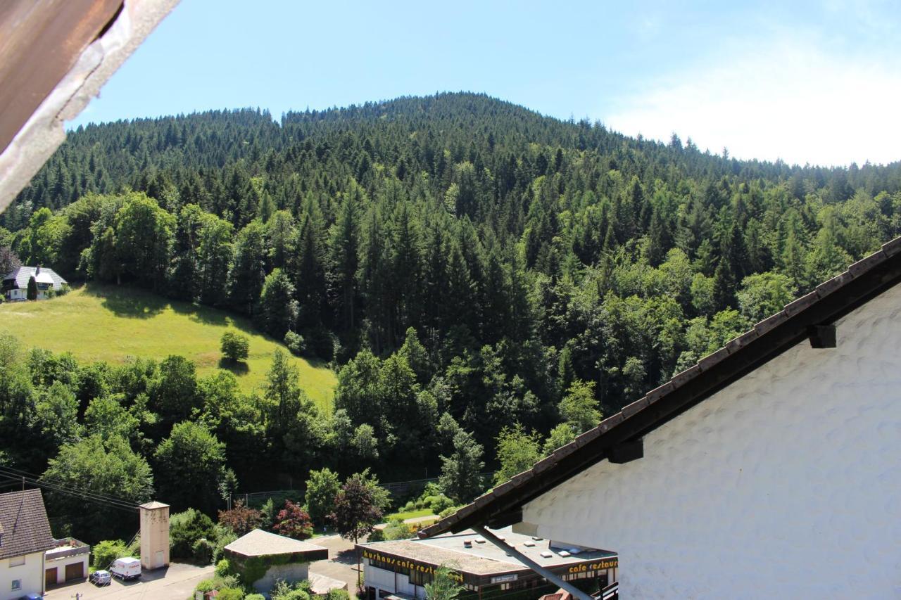 Ferienwohnung Schwarzwaldblick Bad Rippoldsau-Schapbach Exterior foto