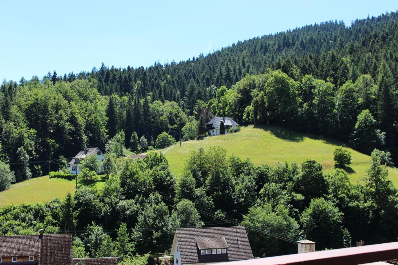 Ferienwohnung Schwarzwaldblick Bad Rippoldsau-Schapbach Exterior foto